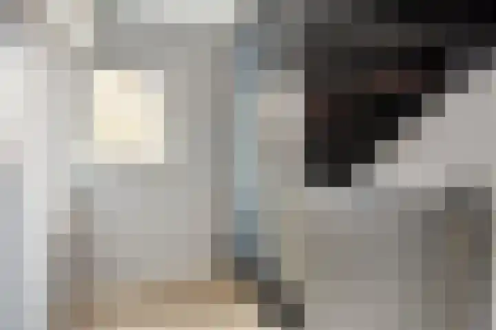 Ploegdreef 3 Doetinchem thumbnail 23