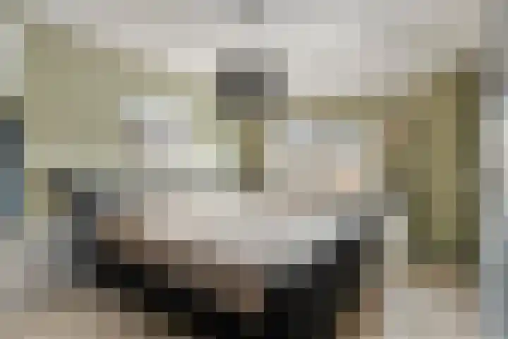 Ploegdreef 3 Doetinchem thumbnail 25