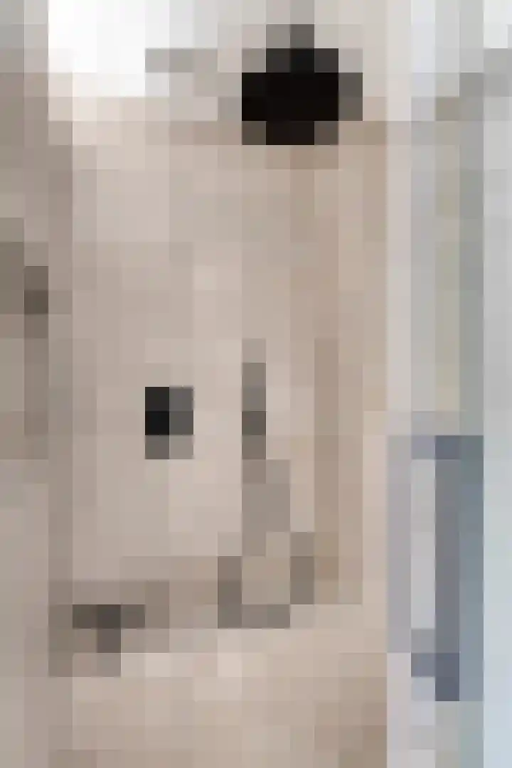 Ploegdreef 3 Doetinchem thumbnail 32