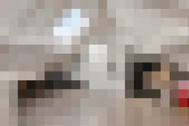 Ploegdreef 3 Doetinchem thumbnail 36