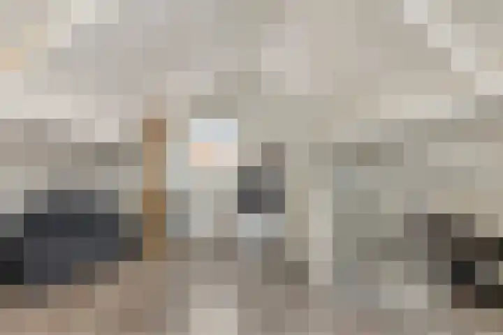 Ploegdreef 3 Doetinchem thumbnail 37