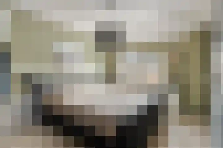 Ploegdreef 3 Doetinchem thumbnail 4