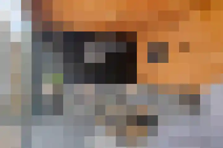 Ploegdreef 3 Doetinchem thumbnail 43
