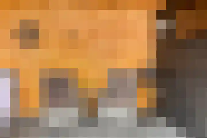 Ploegdreef 3 Doetinchem thumbnail 44