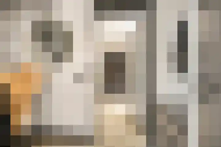 Ploegdreef 3 Doetinchem thumbnail 9
