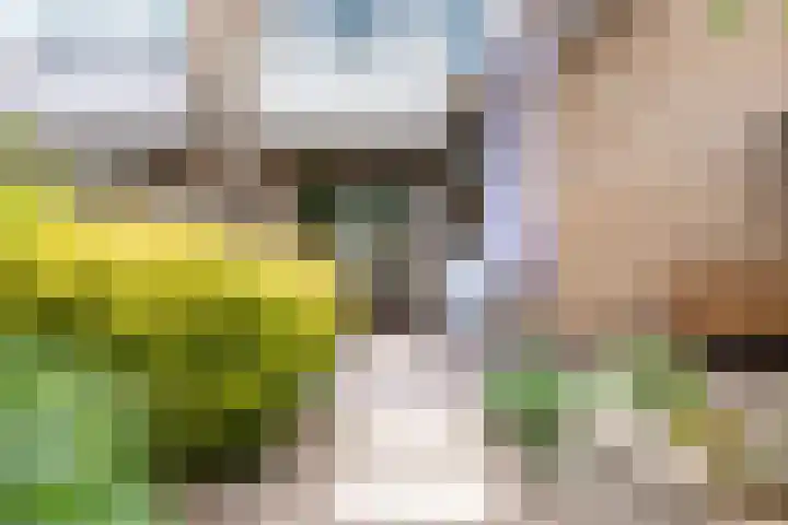 Ploegdreef 37 Doetinchem thumbnail 17