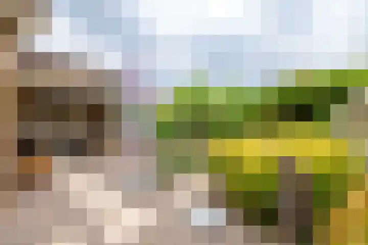 Ploegdreef 37 Doetinchem thumbnail 18