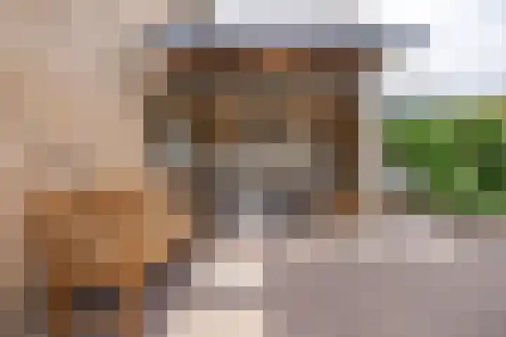 Ploegdreef 37 Doetinchem thumbnail 19