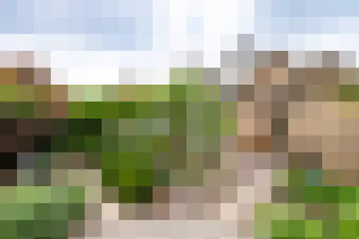 Ploegdreef 37 Doetinchem thumbnail 22