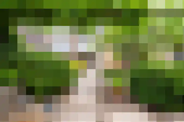 Ploegdreef 37 Doetinchem thumbnail 23