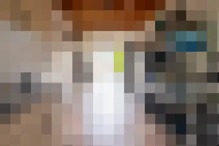 Ploegdreef 37 Doetinchem thumbnail 26