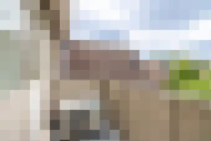 Ploegdreef 37 Doetinchem thumbnail 37