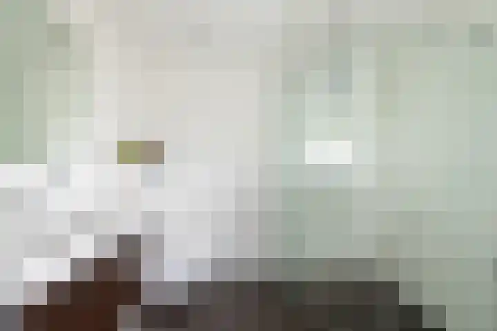 Ploegdreef 37 Doetinchem thumbnail 40