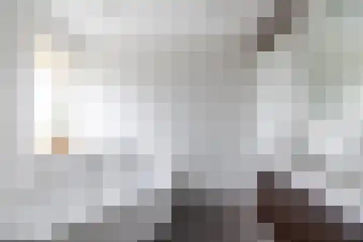 Ploegdreef 37 Doetinchem thumbnail 41