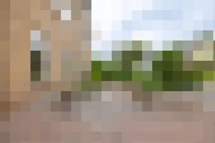 Ploegdreef 37 Doetinchem thumbnail 50