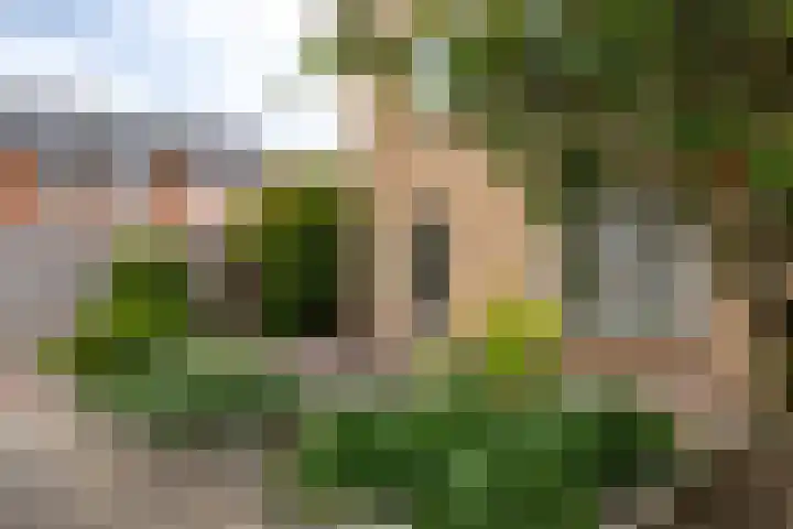 Ploegdreef 37 Doetinchem thumbnail 51