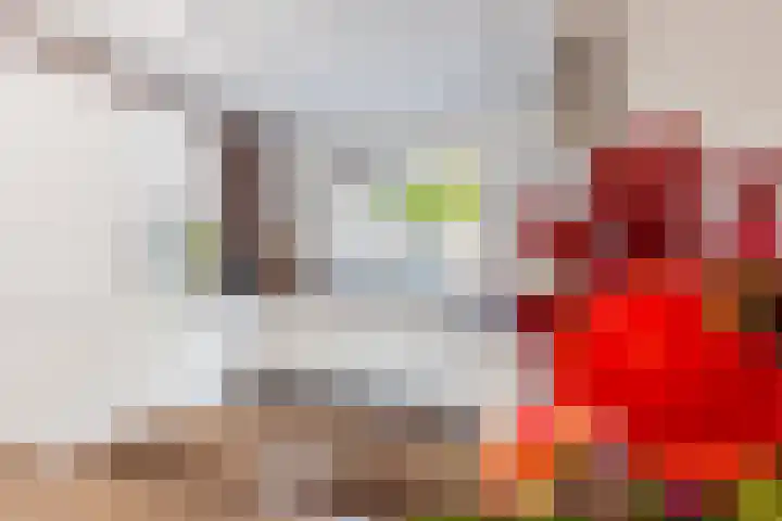 Ploegdreef 38 Doetinchem thumbnail 11