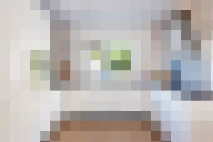 Ploegdreef 38 Doetinchem thumbnail 12