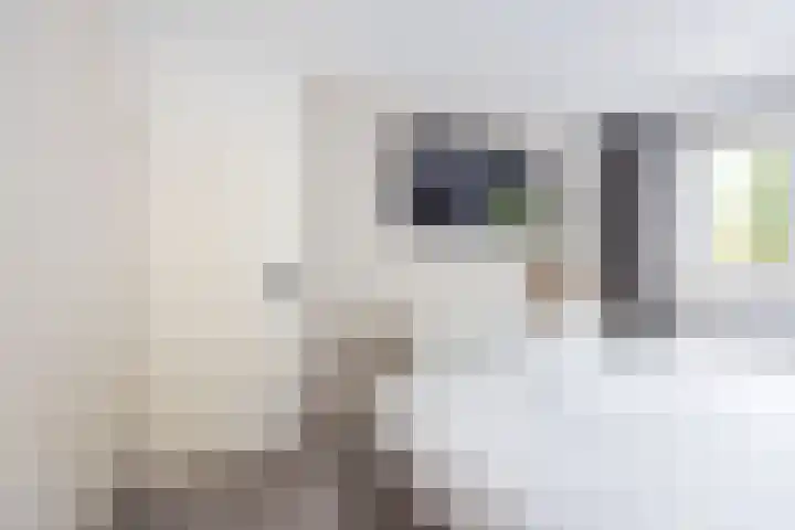 Ploegdreef 38 Doetinchem thumbnail 18