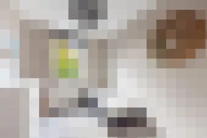 Ploegdreef 38 Doetinchem thumbnail 21