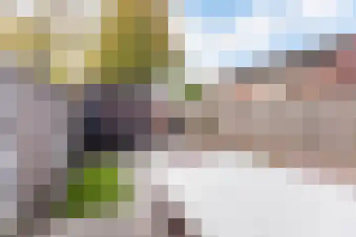 Ploegdreef 38 Doetinchem thumbnail 32