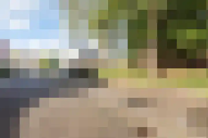 Ploegdreef 38 Doetinchem thumbnail 40