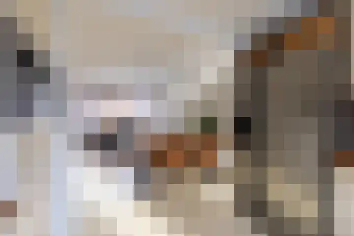 Ploegdreef 40 Doetinchem thumbnail 11