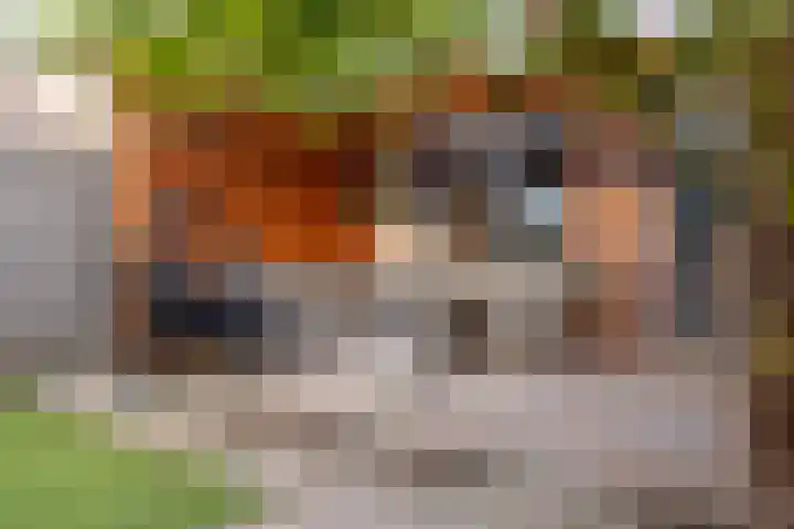 Ploegdreef 40 Doetinchem thumbnail 17