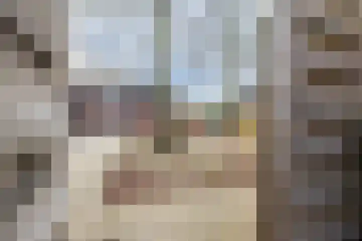 Ploegdreef 40 Doetinchem thumbnail 20