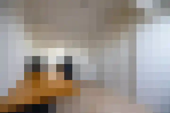 Ploegdreef 40 Doetinchem thumbnail 39