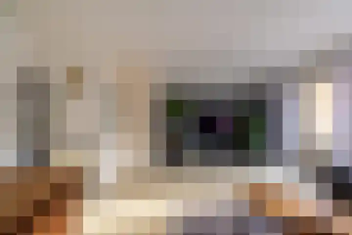 Ploegdreef 40 Doetinchem thumbnail 5