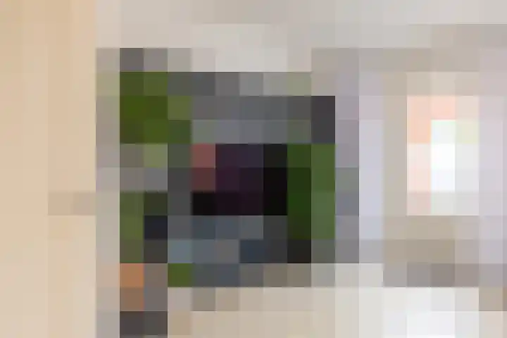 Ploegdreef 40 Doetinchem thumbnail 6