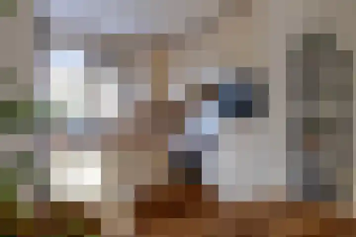 Ploegdreef 40 Doetinchem thumbnail 9