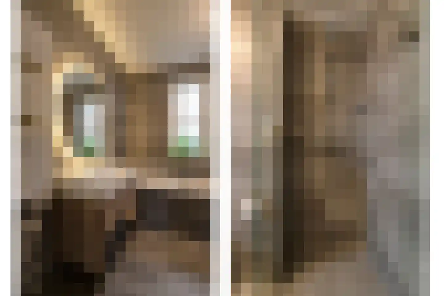 Ploegerf 6 Benthuizen thumbnail 24