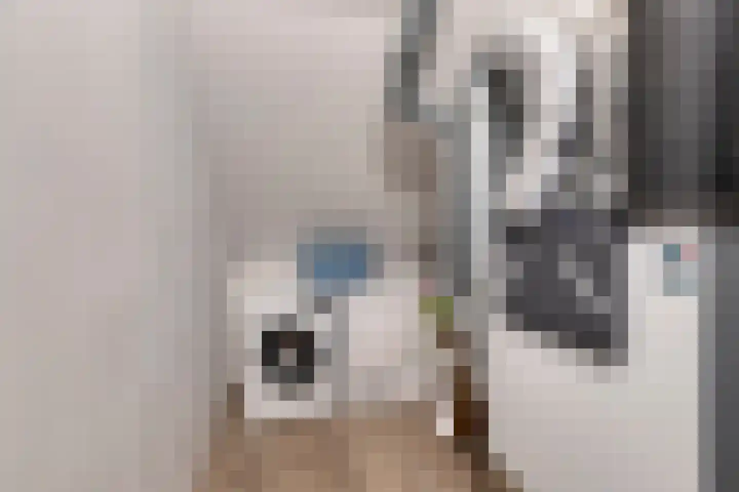 Ploegerf 6 Benthuizen thumbnail 31