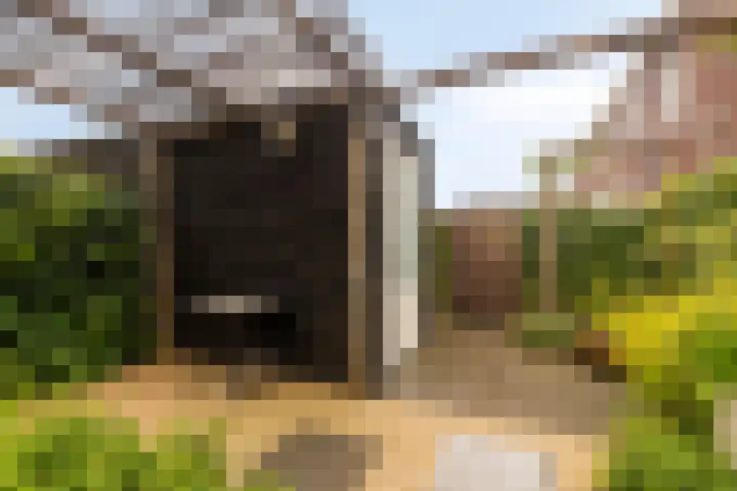 Ploegerf 6 Benthuizen thumbnail 33