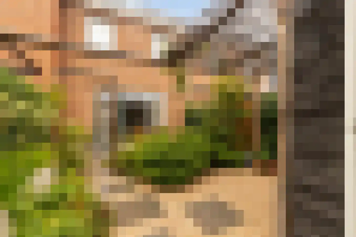 Ploegerf 6 Benthuizen thumbnail 34