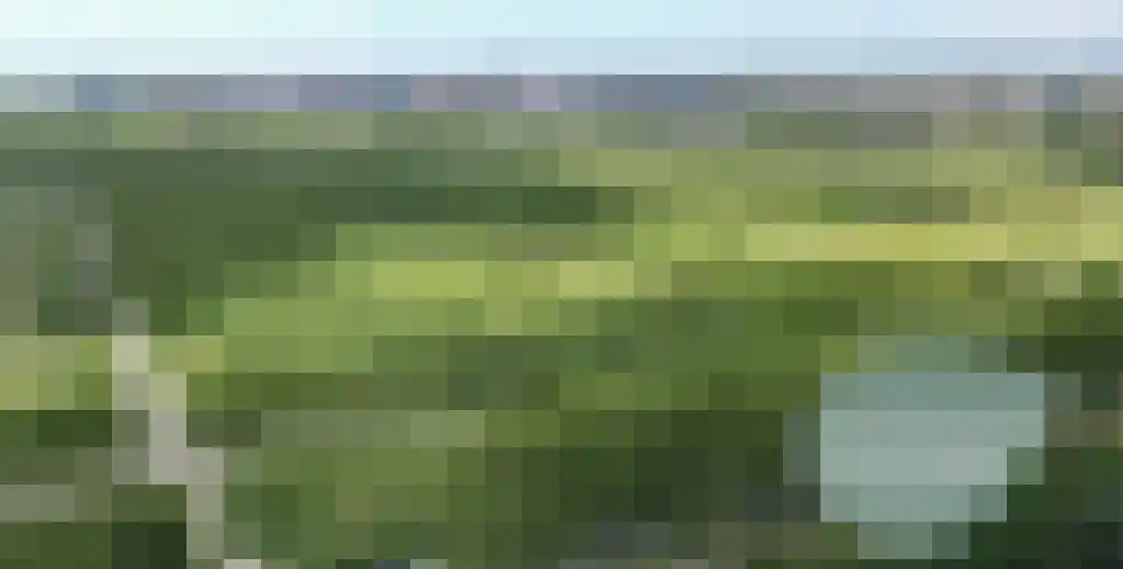 Ploegerf 6 Benthuizen thumbnail 42