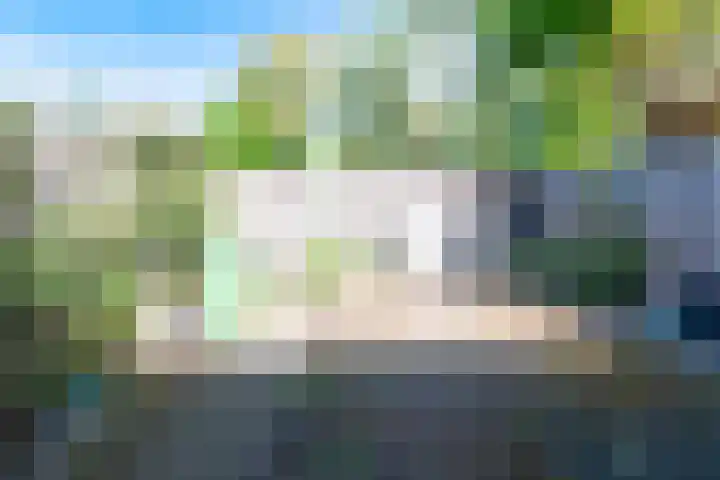 Ploegersdonk 109 Apeldoorn thumbnail 13