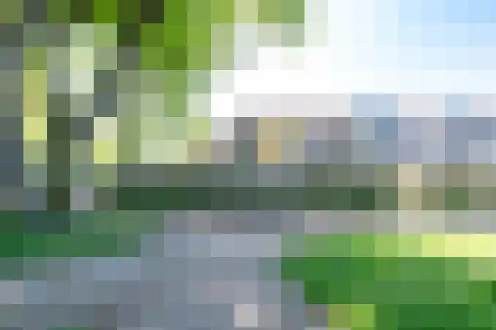 Ploegersdonk 109 Apeldoorn thumbnail 15