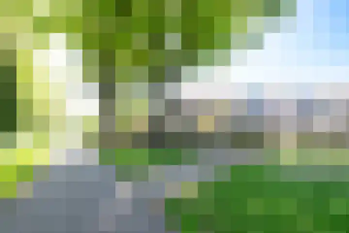 Ploegersdonk 109 Apeldoorn thumbnail 16