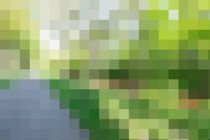 Ploegersdonk 109 Apeldoorn thumbnail 17