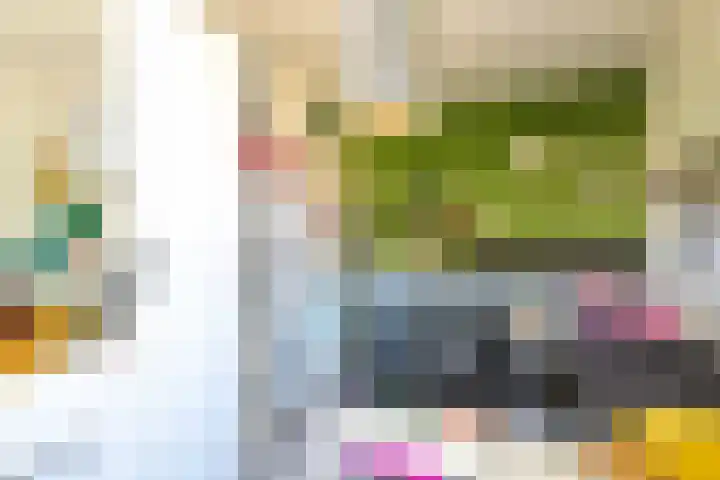 Ploegersdonk 109 Apeldoorn thumbnail 26