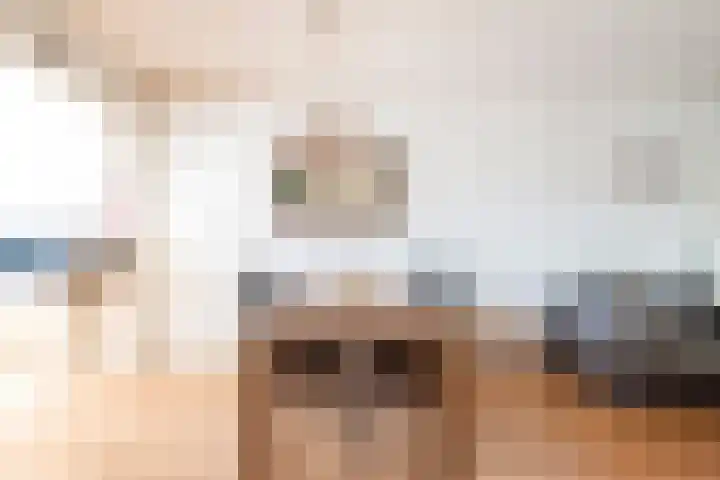 Ploegersdonk 109 Apeldoorn thumbnail 9