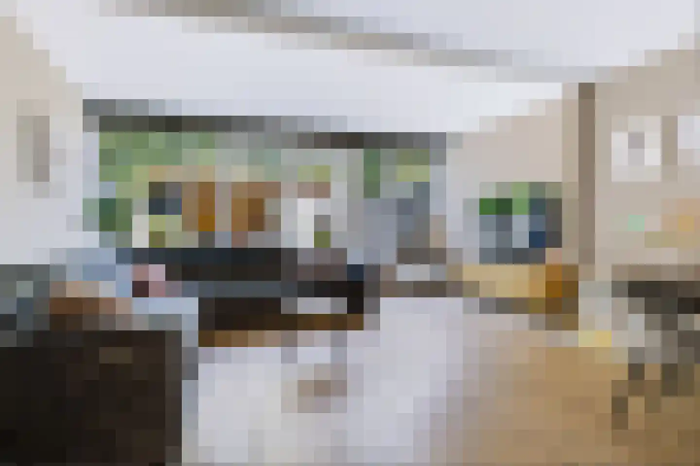 Ploegersdonk 113 Apeldoorn thumbnail 13