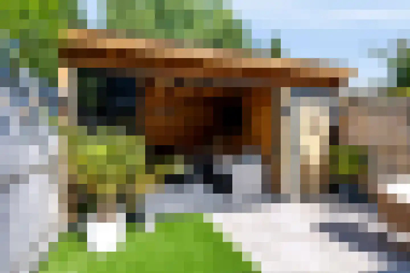 Ploegersdonk 113 Apeldoorn thumbnail 38