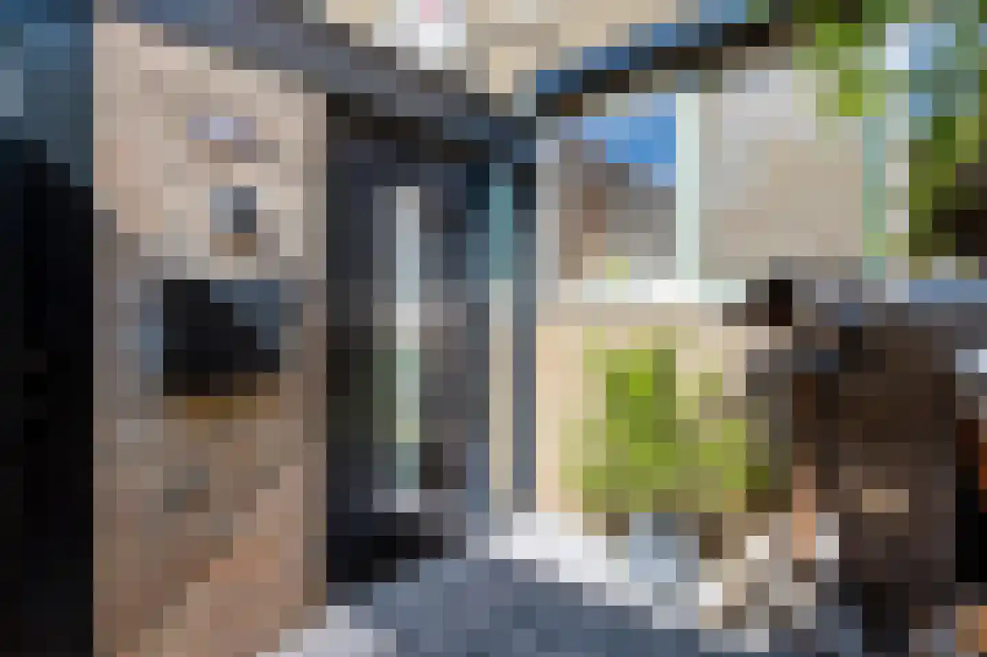 Ploegersdonk 113 Apeldoorn thumbnail 6