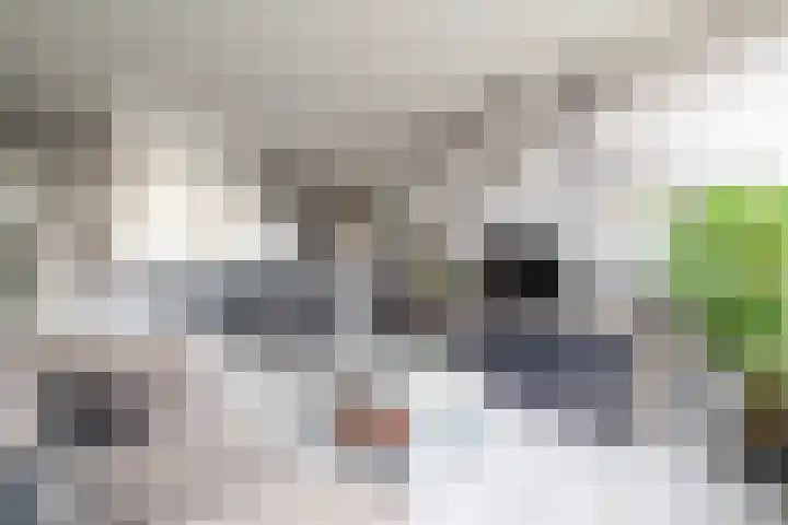 Ploegersdonk 126 Apeldoorn thumbnail 11