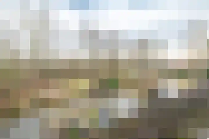 Ploegersdonk 126 Apeldoorn thumbnail 37