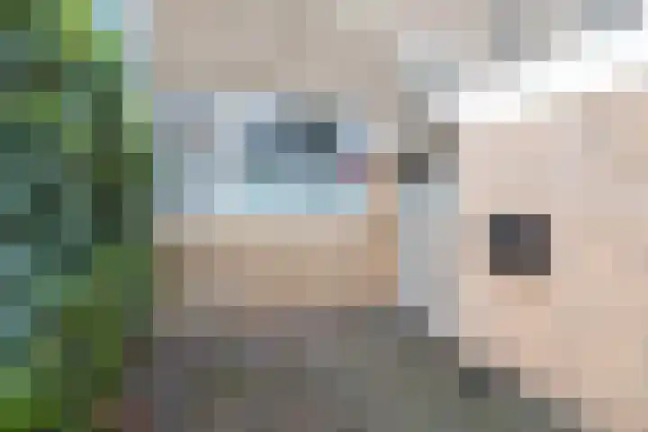Ploegersdonk 126 Apeldoorn thumbnail 6